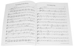 MS Folk for two Violins