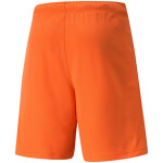 Pánské kraťasy TeamRise Short Prist 704942 08 Puma