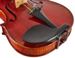 Eastman Andreas Eastman Master Violin 4/4 (VL605)