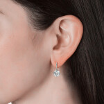 Royal Fashion stříbrné pozlacené náušnice Swarovski DES0253-WT-WG