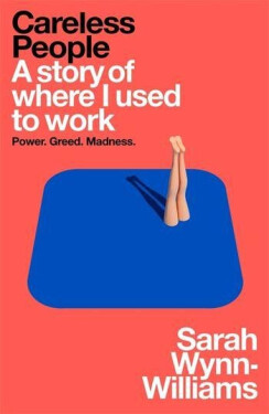 Careless People : A story of where I used to work - Sarah Wynn-Williams