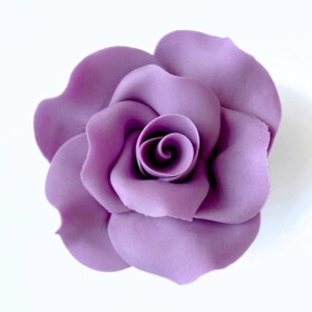 Dortisimo Cukrová růže velká fialová (9 ks)