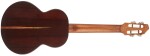 Flight A10SC Cocobolo Dragon