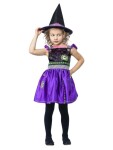 Ptakoviny.cz Dětský kostým Čarodějnice fialová Velikost: 4-6 roků