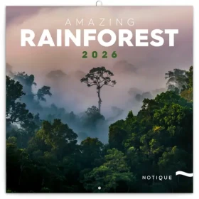 NOTIQUE Poznámkový kalendář Deštné pralesy 2026 - Východní / 30 x 30 cm (PGP-35471-V)