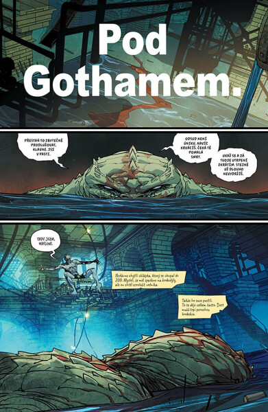 Joker - Muž, který se přestal smát 3 - Matthew Rosenberg