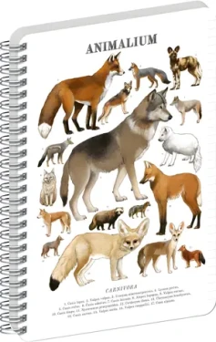 NOTIQUE Animalium Psovité šelmy / Spirálový blok / A5 / linkovaný