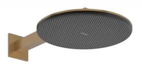 HANSGROHE - Raindance Alive S Hlavová sprcha, průměr 30 cm, 2 proudy, kartáčovaný bronz 24540140