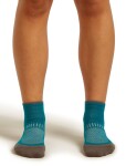 Dámské merino ponožky ICEBREAKER Wmns Hike+ Light Mini, Tidal Teal/Porcini velikost: 38-40 (M)