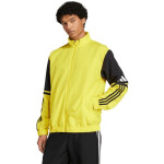 Mikina adidas Squadra 25 Presentation M JP3385 pánské XL
