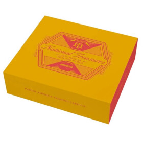 2025 Panini National Treasures Racing Hobby Box - karty Nascar závodů