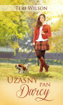 Úžasný pan Darcy (poškozená) - Teri Wilson