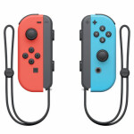 Nintendo Joy-Con Pair NSP080