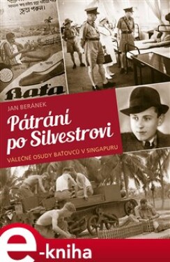 Pátrání po Silvestrovi - Jan Beránek