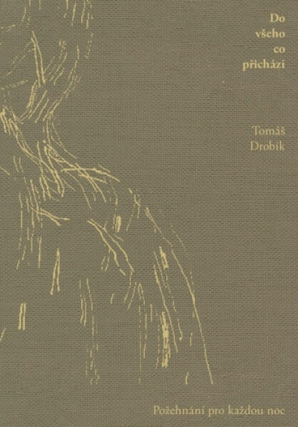 Do všeho co přichází - Tomáš Drobík