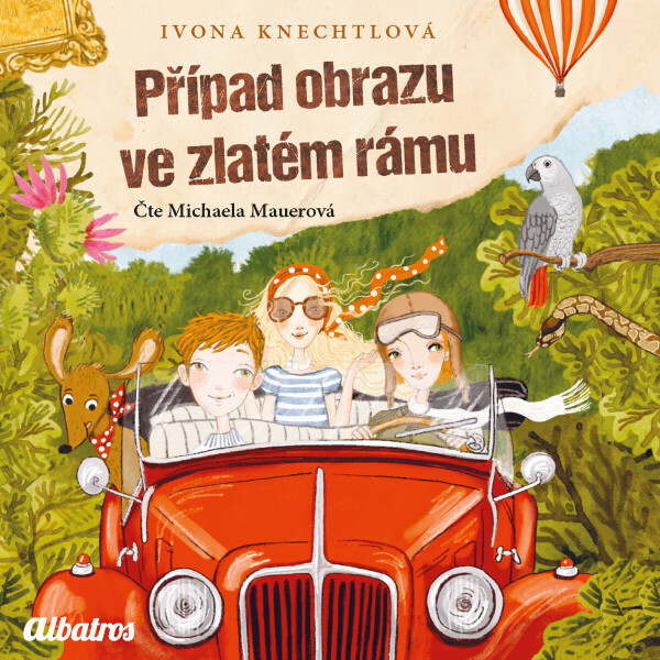 Případ obrazu ve zlatém rámu - Ivona Knechtlová - audiokniha