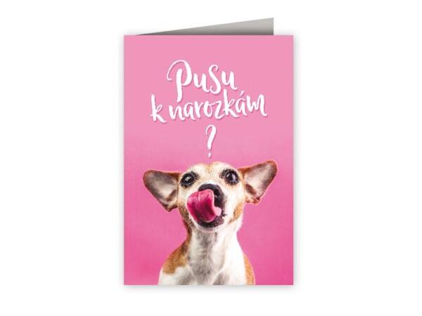 Nekupto Přání k narozeninám - Pusa