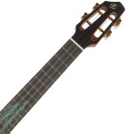 Flight A10SC Cocobolo Dragon