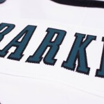 Nike Pánský dres Philadelphia Eagles NFL Saquon Barkley #26 2026 Stitched Limited Velikost: 3XL