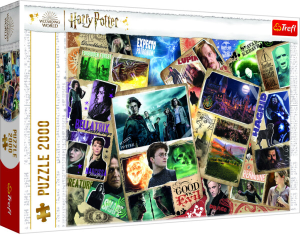 Puzzle Harry Potter: Postavy