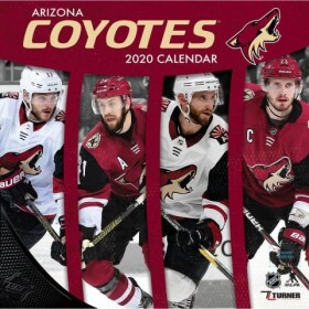 JF Turner Kalendář Arizona Coyotes NHL 2020 Wall x