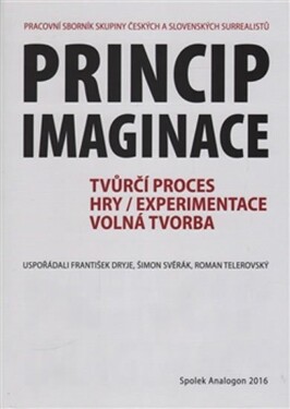 Princip imaginace