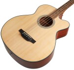 Takamine GB30CE-NAT