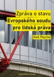 Zpráva o stavu Evropského soudu pro lidská práva - Aleš Pejchal