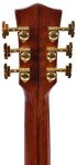 Sigma Guitars GJR-SG300