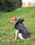 Coldy bunda pro psa s kapucí Barva: Černo-modrá, Délka zad (cm): 30, Obvod hrudníku: 26 - 40 cm
