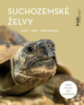 Suchozemské želvy