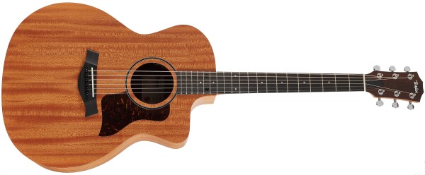 Taylor 24ce