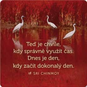 Korkový podtácek s citátem "Teď je chvíle, kdy správně využít čas. Dnes je den, kdy začít dokonalý den" - Sri Chinmoy