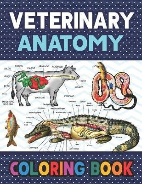 Veterinary Anatomy Coloring Book - Various