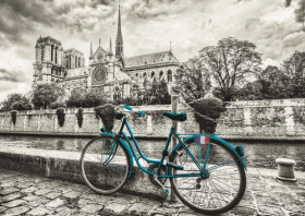 Puzzle Kolo u Notre-Dame 500 dílků