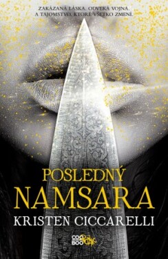 Posledný Namsara - Kristen Ciccarelli - e-kniha