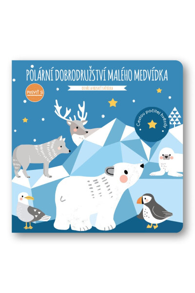 Polární dobrodružství malého medvídka