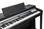 Kurzweil CUP P1 BK