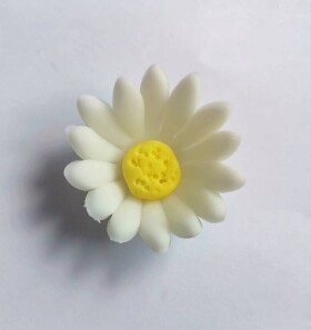 Dortisimo Cukrová sedmikráska malá bílá (25 ks)