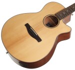 Ibanez AEG200S Natural