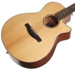 Ibanez AEG200-LGS - Natural Low Gloss