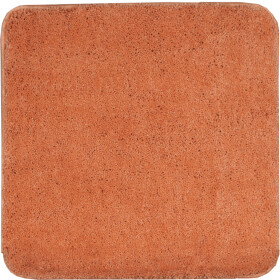 Koupelnová předložka Optima 55x55 cm cihlová PRED303 PRED303