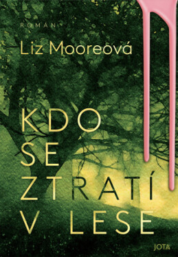 Kdo se ztratí v lese - Liz Moore - e-kniha