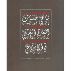 Co je dobré vědět o arabském a islámském světě