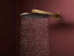 HANSGROHE - Raindance Alive S Hlavová sprcha, průměr 30 cm, 2 proudy, EcoSmart, kartáčovaný bronz 24541140