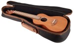 Ortega RFU11SE