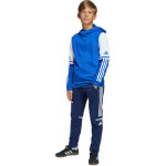 Adidas Squadra 25 Sweat Hoody Jr JD4806 Mikina 164 cm