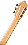 Alhambra 8P