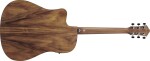 Ibanez V40WSCE Brown