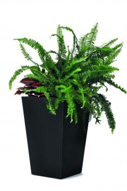 Keter Rattan planter grafit